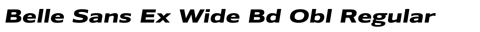 Belle Sans Ex Wide Bd Obl Regular image